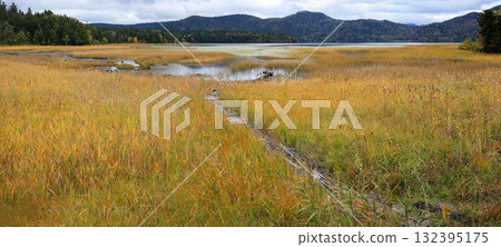 Autumn in Oze, Ozegahara and Ozenuma trekking surrounded by autumnal maple leaves, Gunma Prefecture, Japan 132395175