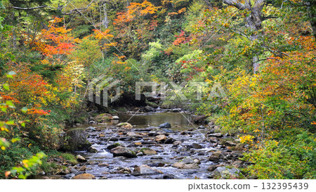 Autumn in Oze, Ozegahara and Ozenuma trekking surrounded by autumnal maple leaves, Gunma Prefecture, Japan 132395439