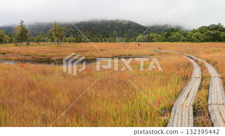 尾瀨、尾瀨之原和尾瀨沼的秋季徒步旅行，周圍環繞著秋天的楓葉，日本群馬縣 132395442