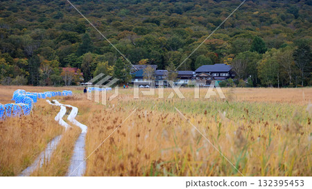 Autumn in Oze, Ozegahara and Ozenuma trekking surrounded by autumnal maple leaves, Gunma Prefecture, Japan 132395453