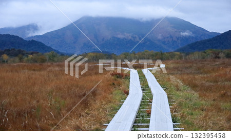 尾瀨、尾瀨之原和尾瀨沼的秋季徒步旅行，周圍環繞著秋天的楓葉，日本群馬縣 132395458