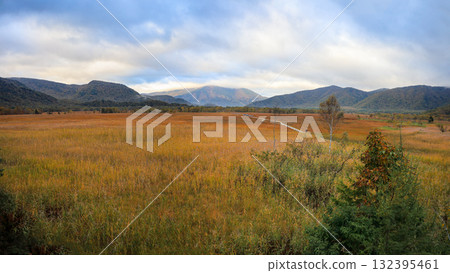 尾瀨、尾瀨之原和尾瀨沼的秋季徒步旅行，周圍環繞著秋天的楓葉，日本群馬縣 132395461