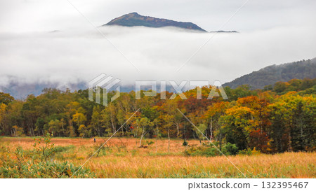 Autumn in Oze, Ozegahara and Ozenuma trekking surrounded by autumnal maple leaves, Gunma Prefecture, Japan 132395467