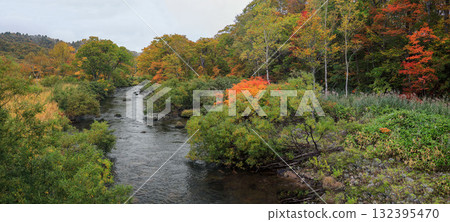 Autumn in Oze, Ozegahara and Ozenuma trekking surrounded by autumnal maple leaves, Gunma Prefecture, Japan 132395470