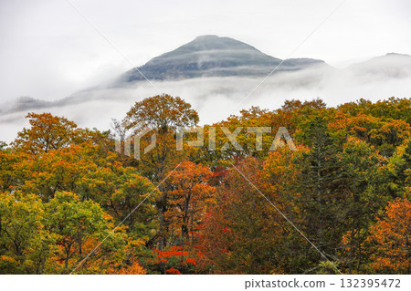 Autumn in Oze, Ozegahara and Ozenuma trekking surrounded by autumnal maple leaves, Gunma Prefecture, Japan Autumn in Oze, Ozegahara and Ozenuma trekking surrounded by autumnal maple leaves, Gunma Prefecture, Japan 132395472
