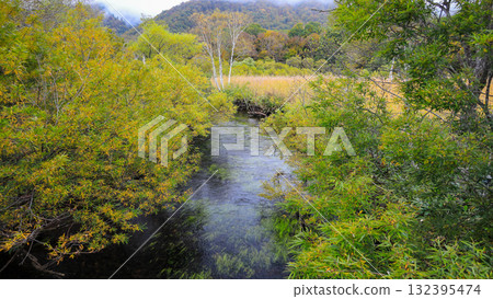 Autumn in Oze, Ozegahara and Ozenuma trekking surrounded by autumnal maple leaves, Gunma Prefecture, Japan 132395474