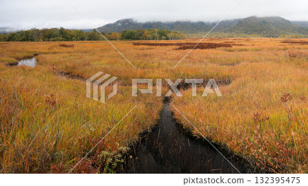 Autumn in Oze, Ozegahara and Ozenuma trekking surrounded by autumnal maple leaves, Gunma Prefecture, Japan 132395475