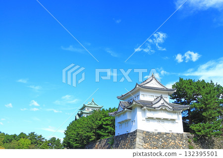 愛知縣名古屋市名古屋城景觀 132395501