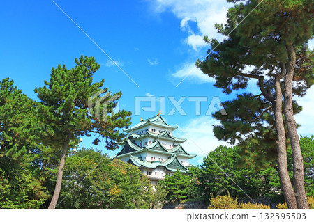 愛知縣名古屋市名古屋城景觀 132395503