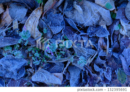 Early spring frost landscape 132395691
