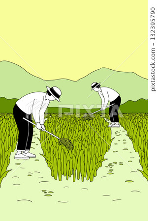 Farmers Working in Rice Field Farmers Working in Rice Field 132395790