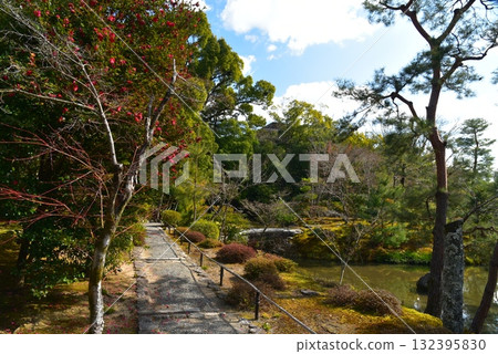 有池塘的當持院花園 132395830