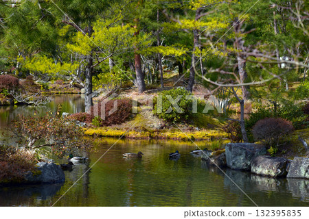 Toji-in Temple garden with pond 132395835