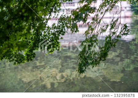 湯布院金麟湖畔的楓葉光影 湯布院金麟湖畔的楓葉光影 132395878
