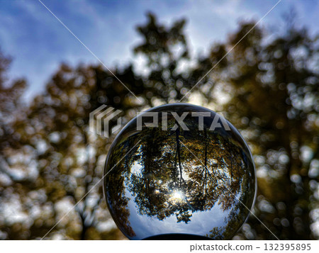 Forest and Blue Sky Reflected in Glass Sphere 132395895