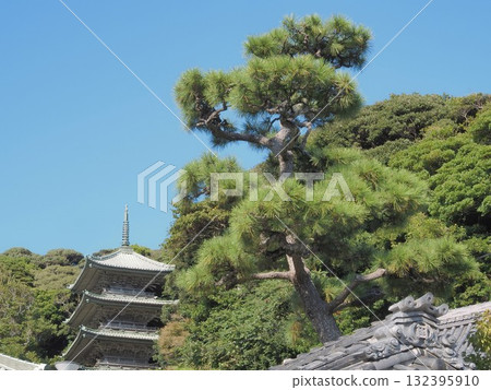 Kanagawa Prefecture Ryukoji Temple Five-story Pagoda October Kanagawa Prefecture Ryukoji Temple Five-story Pagoda October 132395910