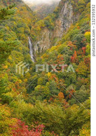 Autumn leaves in Shiga Kogen [Kanman Falls] 132395932