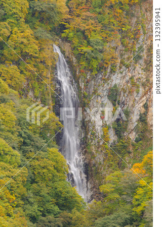 志賀高原的紅葉【關滿瀑布】 132395941