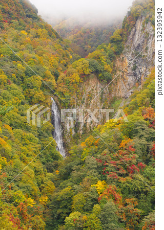 志賀高原的紅葉【關滿瀑布】 132395942
