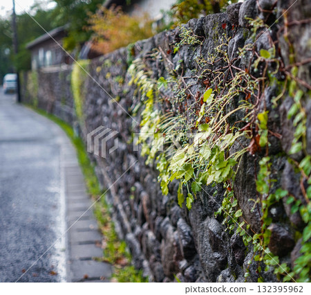 湯布院街角的自然生命力 132395962