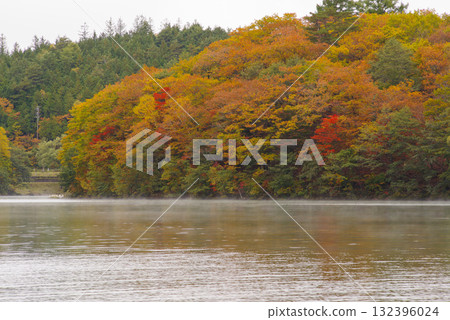 Autumn leaves in Shiga Kogen [Biwa Pond] 132396024