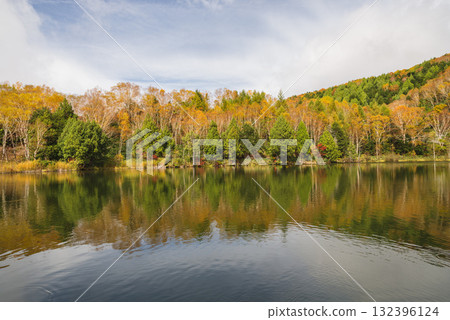 志賀高原、木戶池 132396124
