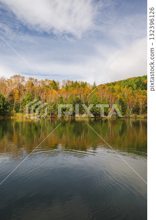 Shiga Kogen, Kido Pond Shiga Kogen, Kido Pond 132396126