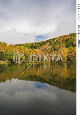 志賀高原、木戶池 132396133