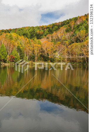 志賀高原、木戶池 132396134