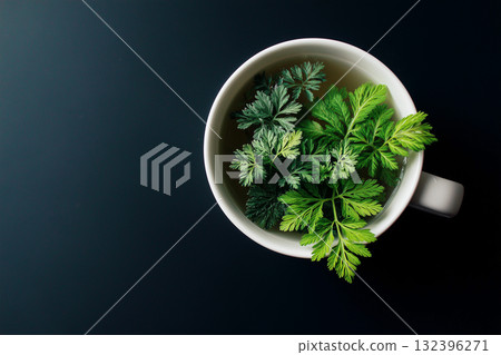 室內植物融入深色背景 室內植物融入深色背景 132396271