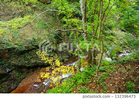 松川溪谷紅葉盛景-雷瀑布的紅葉美景 松川溪谷紅葉盛景-雷瀑布的紅葉美景 132396473
