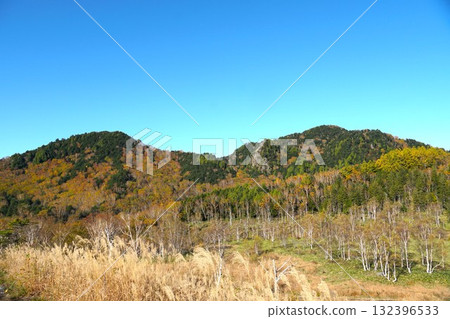 Shiga Kogen dyed in autumn colors - Autumn foliage scenery at Tanohata Marsh Shiga Kogen dyed in autumn colors - Autumn foliage scenery at Tanohata Marsh 132396533