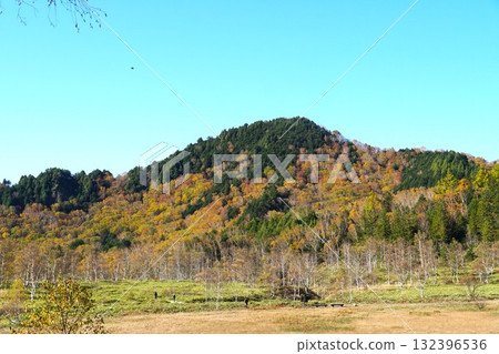 志賀高原的紅葉－田野畑沼澤的紅葉美景 132396536