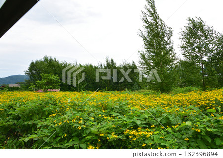 Scenery from Shirataki Station to Kamikawa Station on the JR Hokkaido Sekihoku Main Line (Summer 2023) 132396894