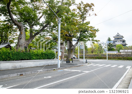 Matsumoto Castle and giant zelkova trees in front of Matsumoto Shrine, Nagano Prefecture 132396921