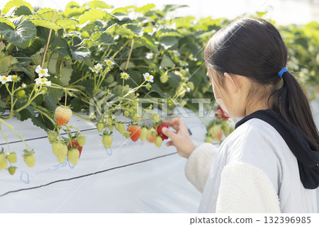 享受草莓狩獵的女孩 132396985