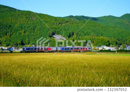Limited Express Uwakai (N2000 series, two-car train) running through the Uwa Basin in autumn 132397052