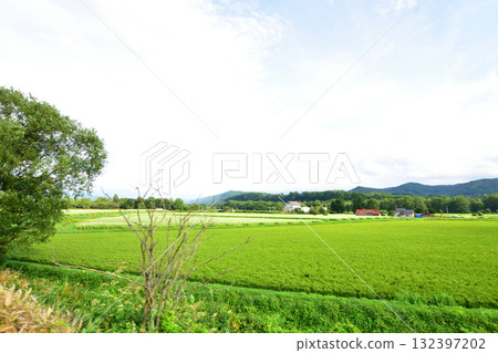 JR北海道石北本線上川站～中愛別站之間的景色（2023年夏季） 132397202