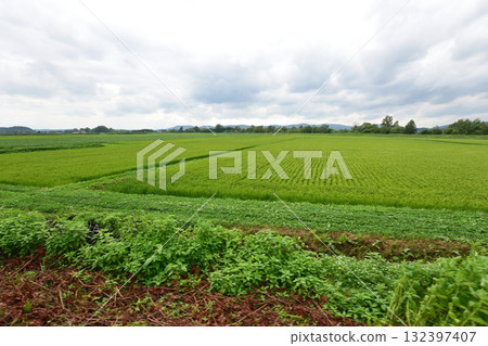 View of the JR Hokkaido Sekihoku Main Line between Nakaaibetsu Station and Ikaushi Station (Summer 2023) 132397407