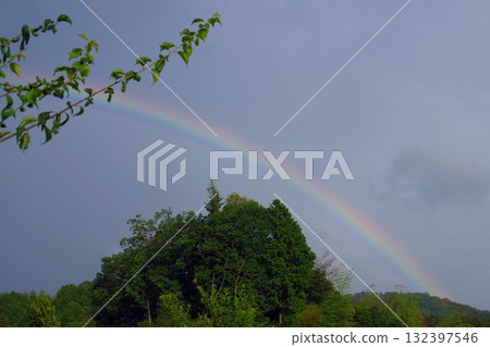 Rainbow after rain 132397546