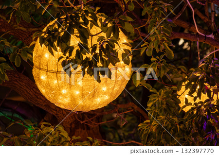 照明球照亮了樹木 132397770