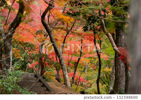 Forest path surrounded by autumn leaves 132398600