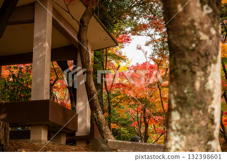 Arbor surrounded by autumn leaves 132398601