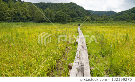日本長野縣飯山市沼原濕地斑尾高原的夏天 132399270