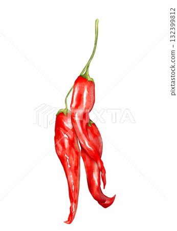 Hand-drawn illustration featuring a small cluster of red chili peppers hanging from a stem 132399812