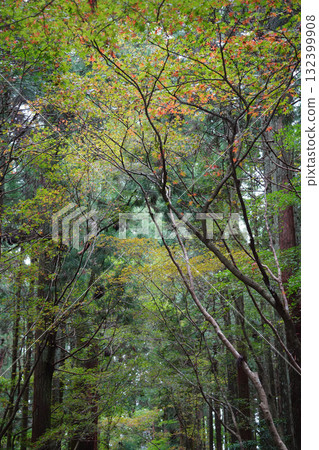 比叡山的紅葉 比叡山的紅葉 132399908