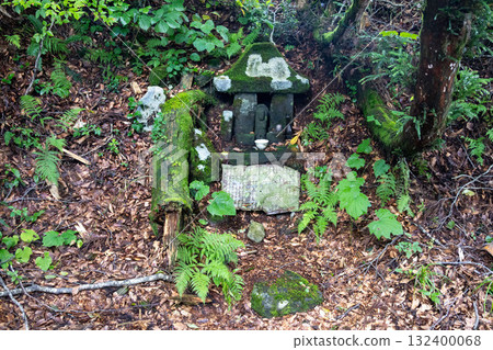 Summer in Shinshu: Shrine on the summit of Mt. Madarao 132400068
