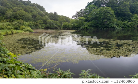 Summer in the Madarao Plateau, Shinshu, with Akaike Pond, Iiyama City, Nagano Prefecture 132400900