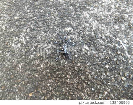 Affiliation Affiliation 132400963