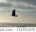 Updraft 132401076